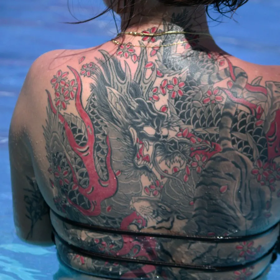 Costas fechadas com dragão japonês colorido